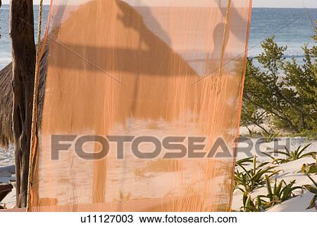 Sheer curtains with beach in background View Large Photo Image Stock Image - Sheer curtains with beach in background. Fotosearch
