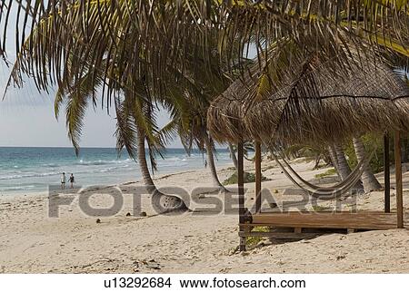 Picture - Shoreline in Tulum Mexico. Fotosearch