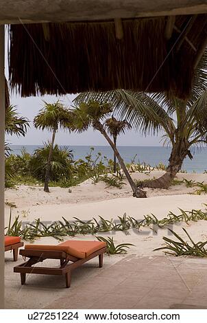 Shoreline in Tulum Mexico View Large Photo Image Picture - Shoreline in Tulum Mexico. Fotosearch