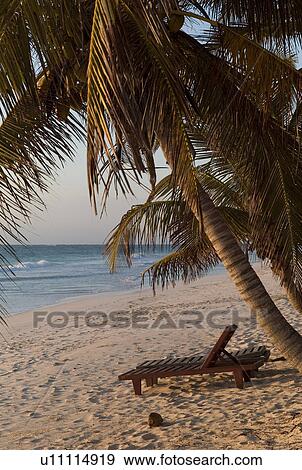 Shoreline in Tulum Mexico View Large Photo Image Stock Photo - Shoreline in Tulum Mexico. Fotosearch