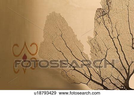 Stock Photo - Silkscreen of a tree. Fotosearch