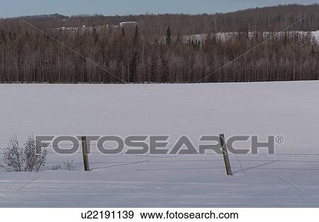 Stock Photo - Snowscape and trees. Fotosearch