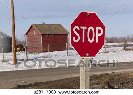 Stop sign in Northern Alberta View Large Photo Image Stock Photo - Stop sign in Northern Alberta. Fotosearch