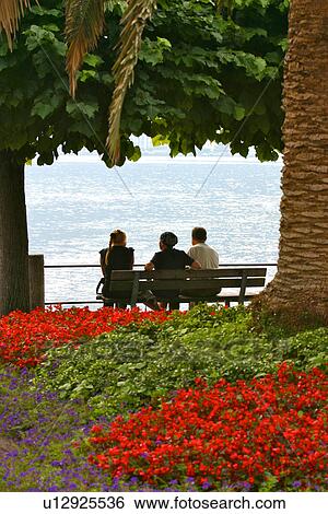 3 people sitting, family, on bench at lakeside, Lake Como, Italy, silhouetted in evening sunlight, with shimmering water in background, framed by palm trees and ornamental garden in foreground with red flowers View Large Photo Image Stock Photograph - 3 people sitting, family, on bench at lakeside, Lake Como, Italy, silhouetted in evening sunlight, with shimmering water in background, framed by palm trees and ornamental garden in foreground with red flowers. Fotosearch