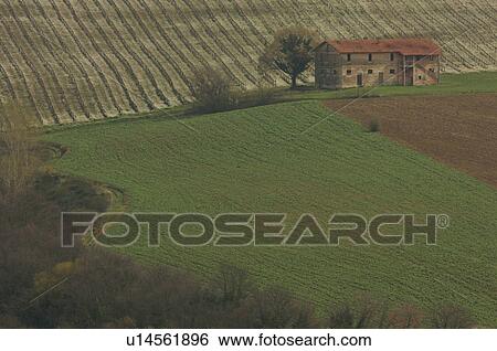 aerial view of farmhouse with vineyards trees and cultivated fields View Large Photo Image Stock Photograph - aerial view of farmhouse with vineyards trees and cultivated fields. Fotosearch