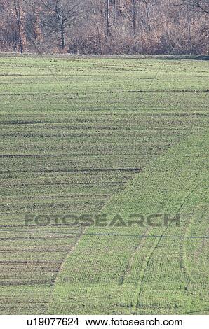 Aerial view of fields ploughed with curve and directional texture View Large Photo Image Picture - Aerial view of fields ploughed with curve and directional texture. Fotosearch