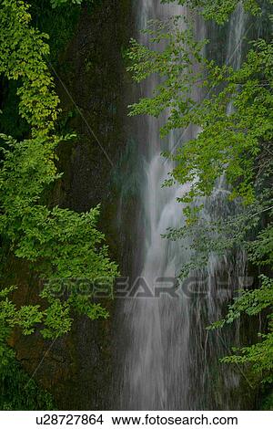 Picture - Cascata delle Marmore, near Terni. Fotosearch