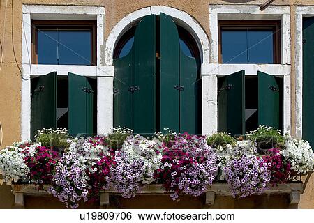 Stock Photograph - Detail of green shuttered windows and flower boxes. Fotosearch