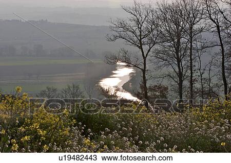 early morning winter mist over River Tiber, with wild flowers and bare tree in foreground View Large Photo Image Stock Image - early morning winter mist over River Tiber, with wild flowers and bare tree in foreground. Fotosearch