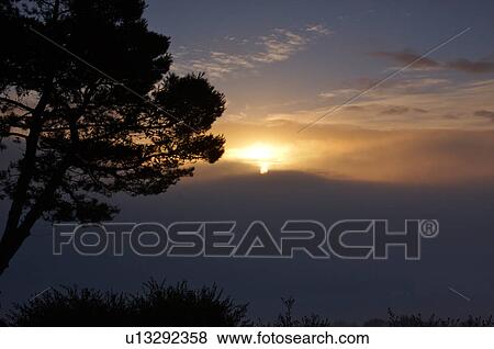 Stock Photo - Evergreen tree silhouetted beside old stone town wall at sunrise, with view over Tiber valley in misty dawn of winter, with sun showing through solid grey clouds. Fotosearch