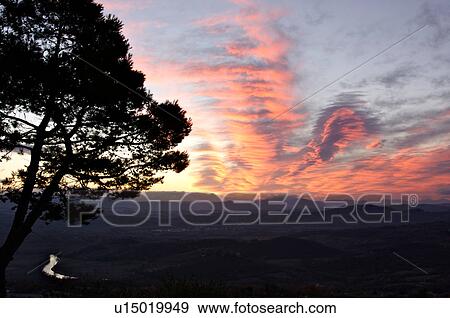 Stock Photo - Evergreen tree silhouetted beside old stone town wall at sunrise, with view over Tiber valley in misty dawn of winter, river winding through valley. Fotosearch