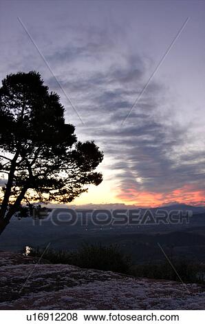 Stock Photo - Evergreen tree silhouetted beside old stone town wall at sunrise, with view over Tiber valley in misty dawn of winter, river winding through valley, dusting of snow and lights in valley. Fotosearch