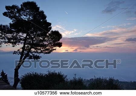 Evergreen tree silhouetted beside old stone town wall at sunrise, with view over Tiber valley in misty dawn of winter, View Large Photo Image Stock Photograph - Evergreen tree silhouetted beside old stone town wall at sunrise, with view over Tiber valley in misty dawn of winter, . Fotosearch