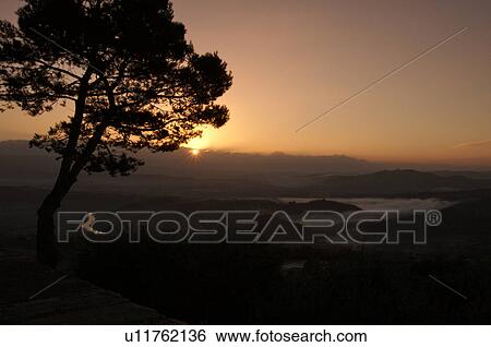 Stock Photograph - Evergreen tree silhouetted beside old stone town wall at sunrise, with view over Tiber valley in misty dawn of winter, river winding through valley. Fotosearch
