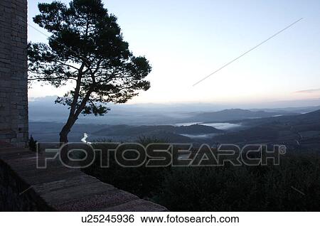 Stock Photograph - Evergreen tree silhouetted beside old stone town wall at sunrise, with view over Tiber valley in misty dawn of winter, river winding through valley. Fotosearch