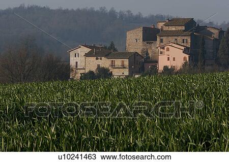 farm buildings and farmer's fields in morning sun View Large Photo Image Stock Image - farm buildings and farmer's fields in morning sun. Fotosearch