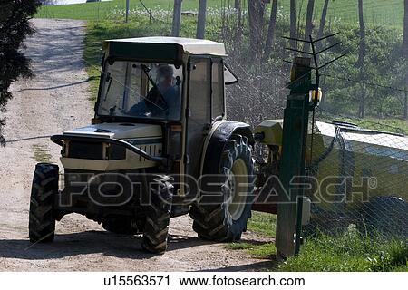 Stock Image - Front view of farmer driving tractor out of field, towing tank of insecticide for tree care,, with farm road beyond. Fotosearch
