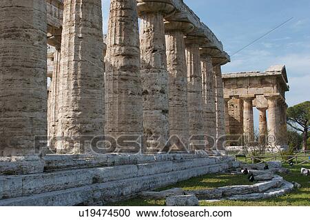 Greek Temples in Campania, Italy: Foreground - Basilica aka Temple of Hera I, Background - Temple of Neptune (Poseidon) aka Temple of Hera II, detail view View Large Photo Image Stock Image - Greek Temples in Campania, Italy: Foreground - Basilica aka Temple of Hera I, Background - Temple of Neptune (Poseidon) aka Temple of Hera II, detail view. Fotosearch