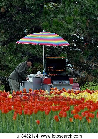 Picture - Hot dog stand, tulip beds, Ottawa, . Fotosearch