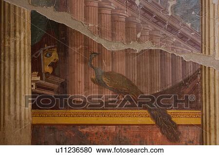 In the shadow of Vesuvius, the ruins of the Imperial Villa of Oplontis - detail of fresco with peacock and columns View Large Photo Image Stock Image - In the shadow of Vesuvius, the ruins of the Imperial Villa of Oplontis - detail of fresco with peacock and columns. Fotosearch