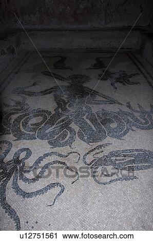 In the shadow of Vesuvius, the ruins of Ercolano - mosaic floor of men's baths, with octopus, cuttlefish and seagod View Large Photo Image Stock Image - In the shadow of Vesuvius, the ruins of Ercolano - mosaic floor of men's baths, with octopus, cuttlefish and seagod. Fotosearch
