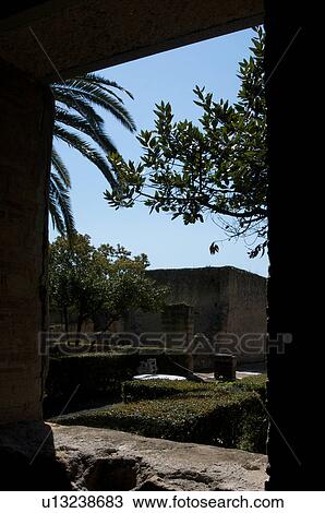 In the shadow of Vesuvius, the ruins of Ercolano - view of House of the Deer View Large Photo Image Stock Image - In the shadow of Vesuvius, the ruins of Ercolano - view of House of the Deer. Fotosearch