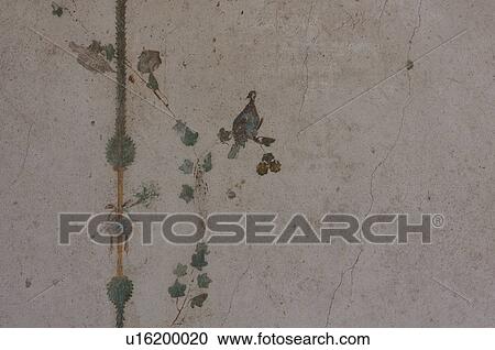 In the shadow of Vesuvius, the ruins of the Imperial Villa of Oplontis - detail of frescoes beside swimming pool View Large Photo Image Stock Image - In the shadow of Vesuvius, the ruins of the Imperial Villa of Oplontis - detail of frescoes beside swimming pool. Fotosearch