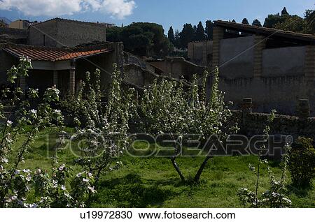 In the shadow of Vesuvius, the ruins of Ercolano - the Inn house View Large Photo Image Stock Image - In the shadow of Vesuvius, the ruins of Ercolano - the Inn house. Fotosearch