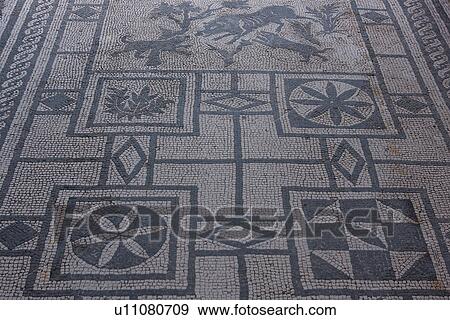 In the shadow of Vesuvius, the ruins of Pompei - House of the Cinghiale, detail of mosaic View Large Photo Image Stock Photo - In the shadow of Vesuvius, the ruins of Pompei - House of the Cinghiale, detail of mosaic. Fotosearch
