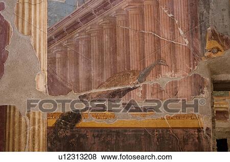 In the shadow of Vesuvius, the ruins of the Imperial Villa of Oplontis - detail of fresco with peacock and columns View Large Photo Image Stock Photo - In the shadow of Vesuvius, the ruins of the Imperial Villa of Oplontis - detail of fresco with peacock and columns. Fotosearch
