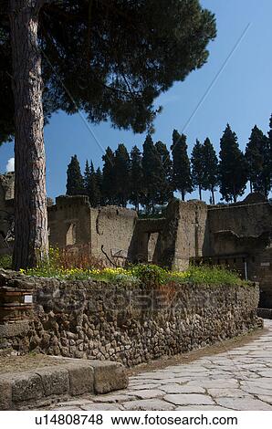 Stock Photo - In the shadow of Vesuvius, the ruins of Ercolano - houses and garden, with main road. Fotosearch