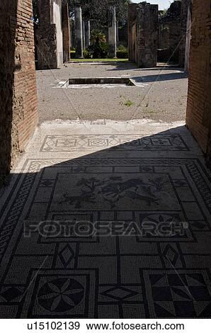 In the shadow of Vesuvius, the ruins of Pompei - House of the Cinghiale mosaic with atrium and triclinium beyond View Large Photo Image Stock Photo - In the shadow of Vesuvius, the ruins of Pompei - House of the Cinghiale mosaic with atrium and triclinium beyond. Fotosearch