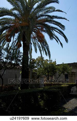 In the shadow of Vesuvius, the ruins of Ercolano - view of House of the Deer View Large Photo Image Stock Photo - In the shadow of Vesuvius, the ruins of Ercolano - view of House of the Deer. Fotosearch