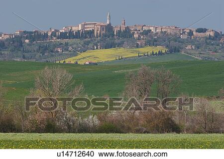 landscape view of Pienza across green fields, yellow flowers, with blue sky in spring time View Large Photo Image Stock Image - landscape view of Pienza across green fields, yellow flowers, with blue sky in spring time. Fotosearch