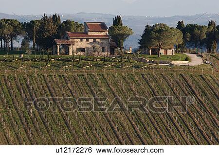 Landscape view of Umbrian stone farmhouse across slope of vineyards, with ornamental garden and hills in background of blue late afternoon haze View Large Photo Image Stock Photograph - Landscape view of Umbrian stone farmhouse across slope of vineyards, with ornamental garden and hills in background of blue late afternoon haze. Fotosearch