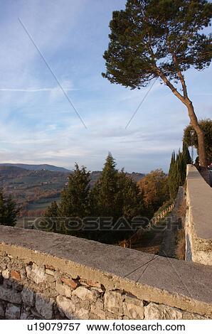 Old stone town wall and evergreen tree in foreground against blue sky with view of Umbrian hills beyond View Large Photo Image Stock Photo - Old stone town wall and evergreen tree in foreground against blue sky with view of Umbrian hills beyond. Fotosearch