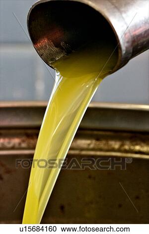 Olive oil in production pouring out of metal spout after pressing View Large Photo Image Stock Image - Olive oil in production pouring out of metal spout after pressing. Fotosearch