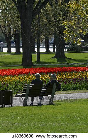 Ottawa Tulip Festival-Dows Lake flower beds, park and couple on bench View Large Photo Image Stock Photo - Ottawa Tulip Festival-Dows Lake flower beds, park and couple on bench. Fotosearch