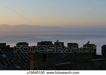 Stock Image - pigeons silhouetted on medieval tower in early morning fog, MonteCastello di Vibio, Umbria, Italy. Fotosearch