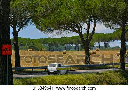Postal van in motion on country road with field of hay bales in background, and school sign in foreground, Umbria, Italy View Large Photo Image Stock Image - Postal van in motion on country road with field of hay bales in background, and school sign in foreground, Umbria, Italy. Fotosearch