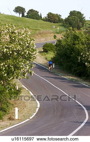 Rear view of cyclist in blue shirt, black shorts, cycling up hill on winding country road in afternoon sun, Tuscany, Italy, with green fields and trees along roadside View Large Photo Image Stock Photo - Rear view of cyclist in blue shirt, black shorts, cycling up hill on winding country road in afternoon sun, Tuscany, Italy, with green fields and trees along roadside. Fotosearch