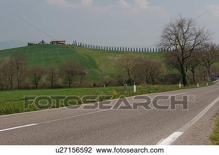 Road view of hill top farm house with row of cypress trees on crest, curved road in foreground View Large Photo Image Stock Image - Road view of hill top farm house with row of cypress trees on crest, curved road in foreground. Fotosearch