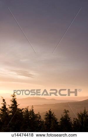 Sunrise over Tiber valley with grey pink and golden sky in the early morning mist of winter, with tree outline in foreground, and hilltop town of Todi in distance View Large Photo Image Stock Photo - Sunrise over Tiber valley with grey pink and golden sky in the early morning mist of winter, with tree outline in foreground, and hilltop town of Todi in distance. Fotosearch