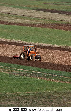 Tractor mowing fields in Colfiorito, Umbria, Italy View Large Photo Image Stock Image - Tractor mowing fields in Colfiorito, Umbria, Italy. Fotosearch