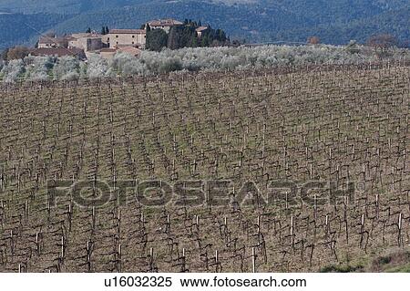 Umbrian landscape in winter, with bare vineyards, hilltop village and range of hills in background View Large Photo Image Stock Photography - Umbrian landscape in winter, with bare vineyards, hilltop village and range of hills in background. Fotosearch