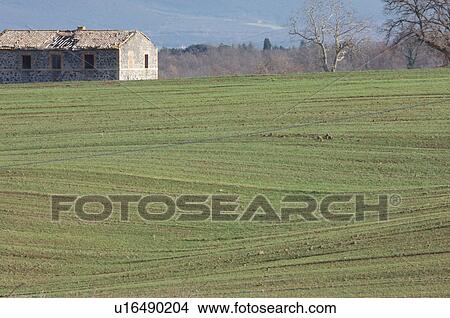 View of abandoned farm house across rolling green fields, with hills and snowy mountain range beyond View Large Photo Image Picture - View of abandoned farm house across rolling green fields, with hills and snowy mountain range beyond. Fotosearch
