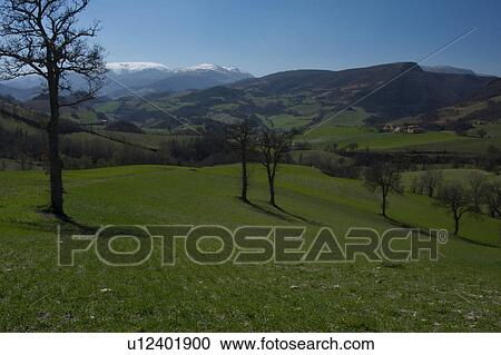 View of farmer's fields with early crops in springtime, snow covered mountains beyond, Le Marche, Italy View Large Photo Image Stock Image - View of farmer's fields with early crops in springtime, snow covered mountains beyond, Le Marche, Italy. Fotosearch