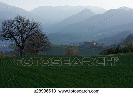 Stock Image -  View of farmer's fields with early crops in springtime, valley and distant mountains beyond, Le Marche, Italy. Fotosearch