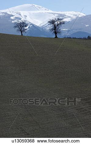 View of farmer's fields with early crops in springtime, snow covered mountains beyond, Le Marche, Italy View Large Photo Image Stock Photo - View of farmer's fields with early crops in springtime, snow covered mountains beyond, Le Marche, Italy. Fotosearch
