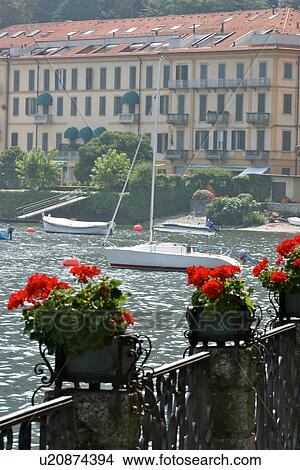 Picture - View of Menaggio beach, shoreline, harbour and hotels on lakefront, with metal railing decorated with rred geraniums in foreground on hazy summer afternoon. Fotosearch